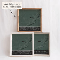 Map Billings City Grid Serving Tray