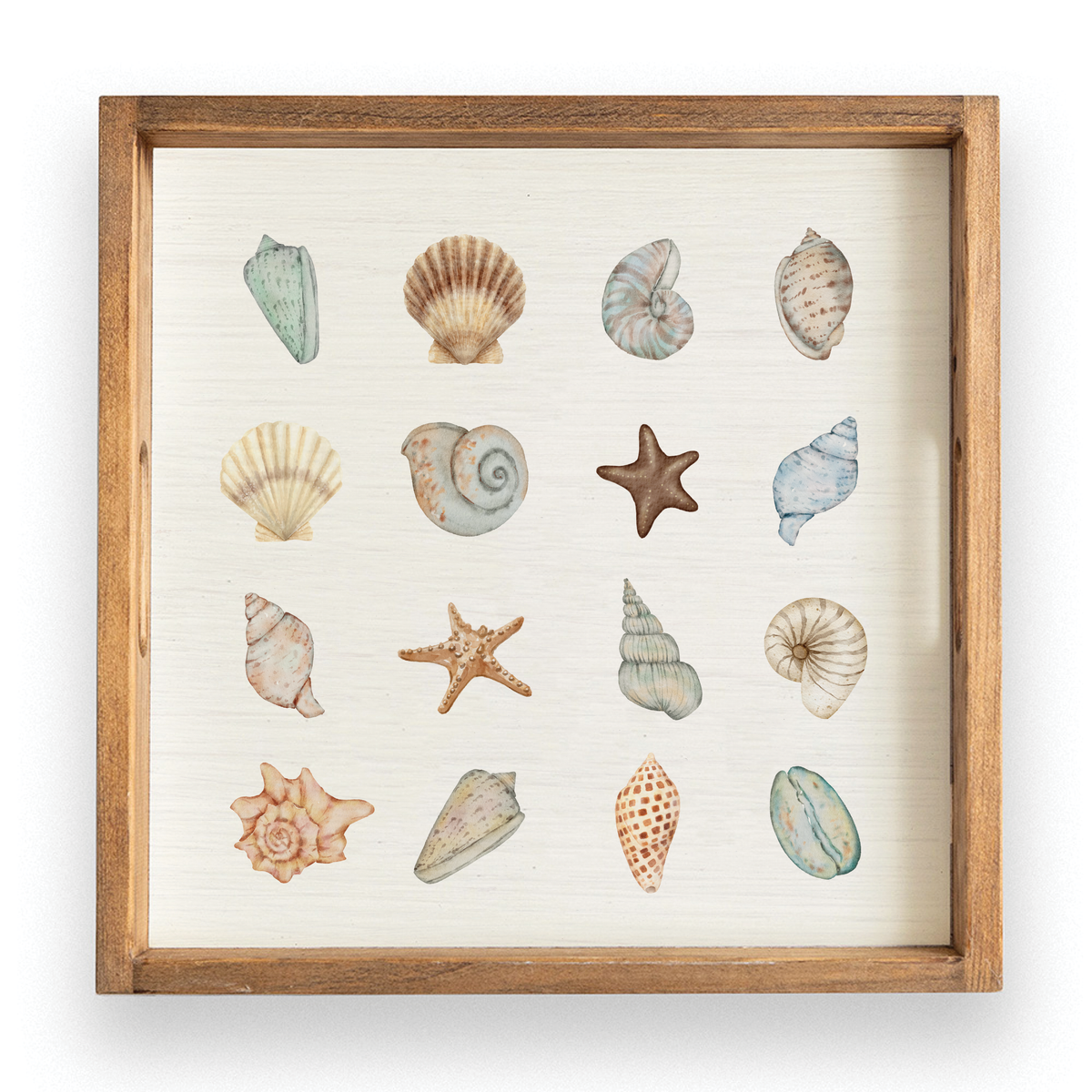 Shell Icons Serving Tray
