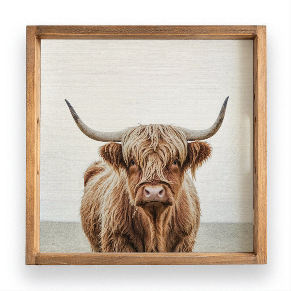 T2WN-ZA2.jpg