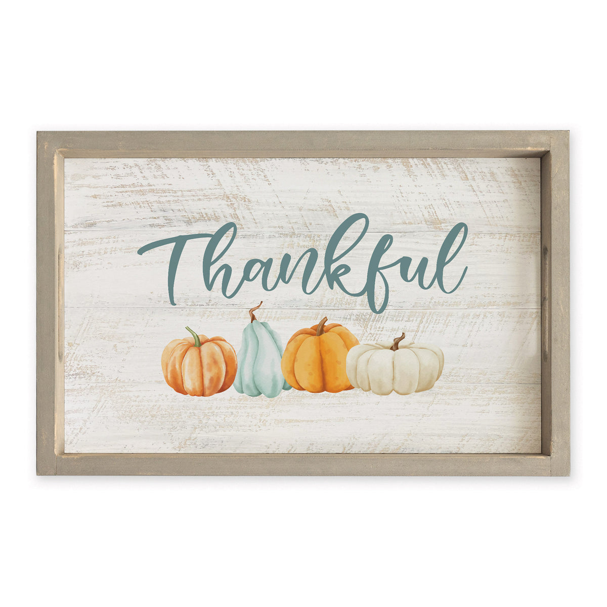 T1-CG5_06.jpg